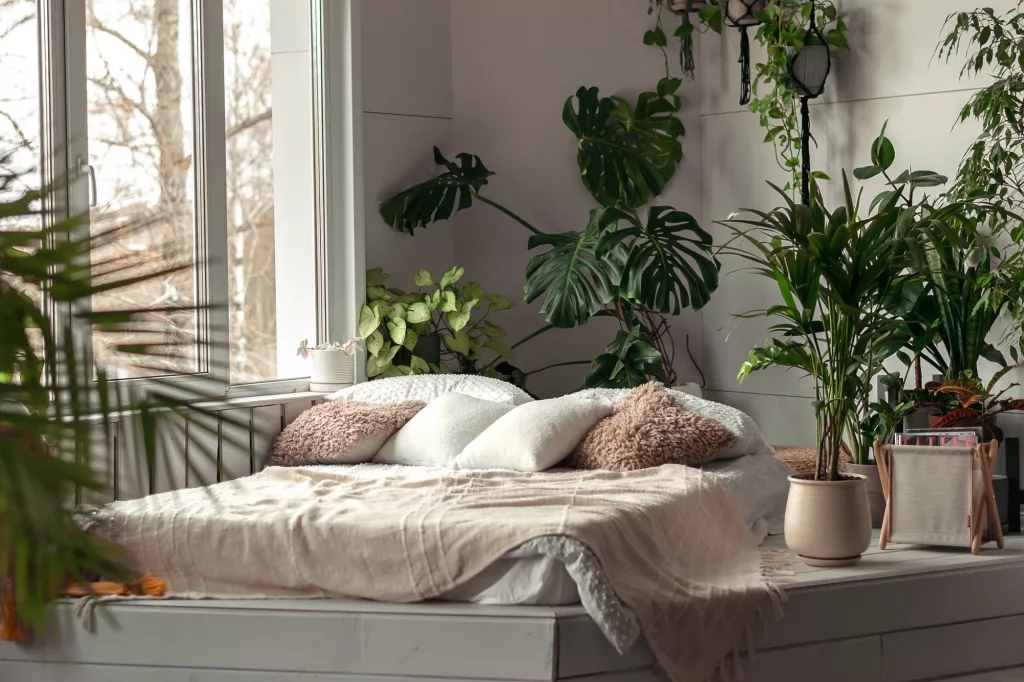 The interior of a bright bedroom with indoor plants.